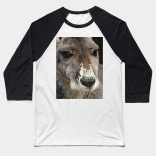 Red Kangaroo Baseball T-Shirt